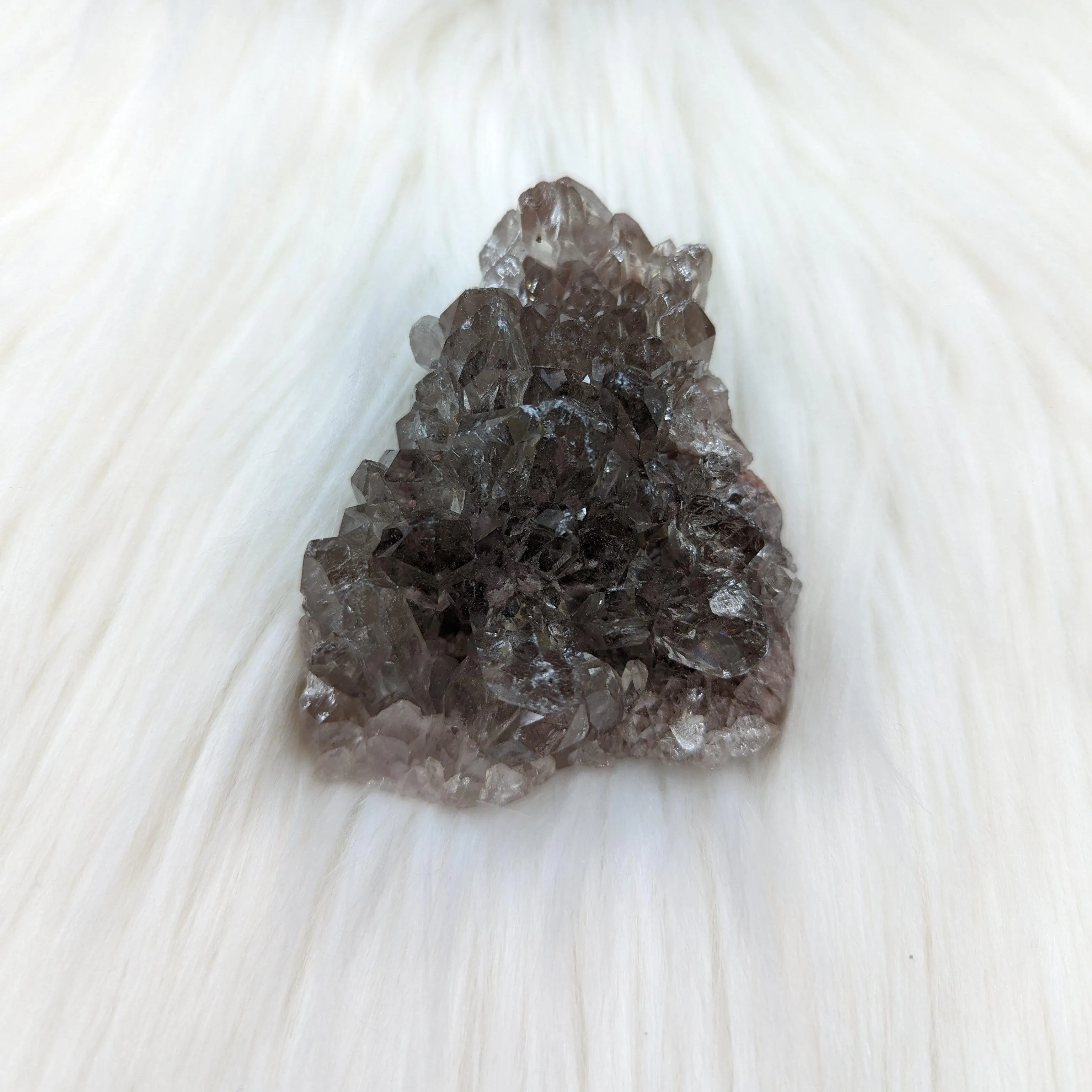 Beautiful Smoky Quartz Cluster~ With Rainbows! ~