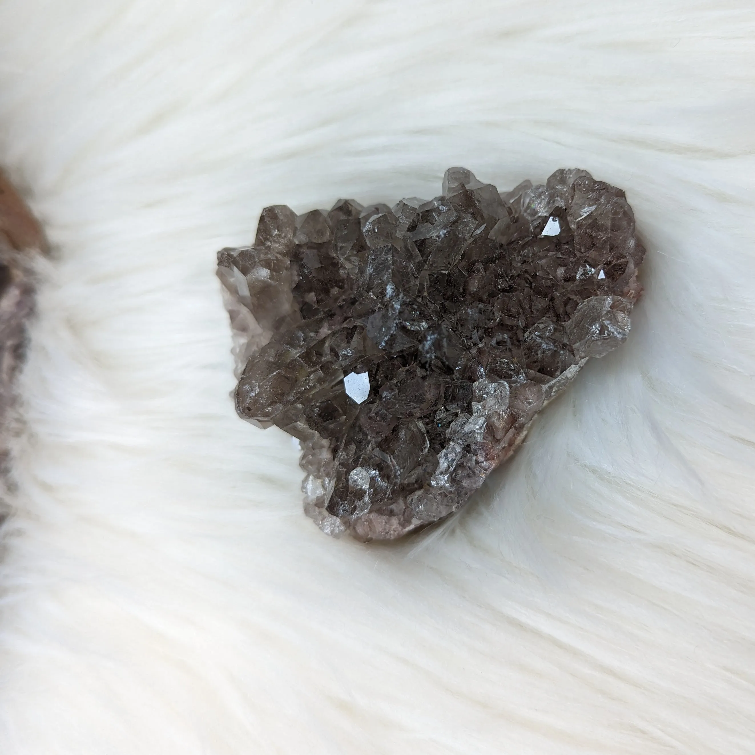 Beautiful Smoky Quartz Cluster~ With Rainbows! ~