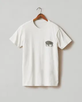 Classic Cotton Crew Tee Regional - Midwest