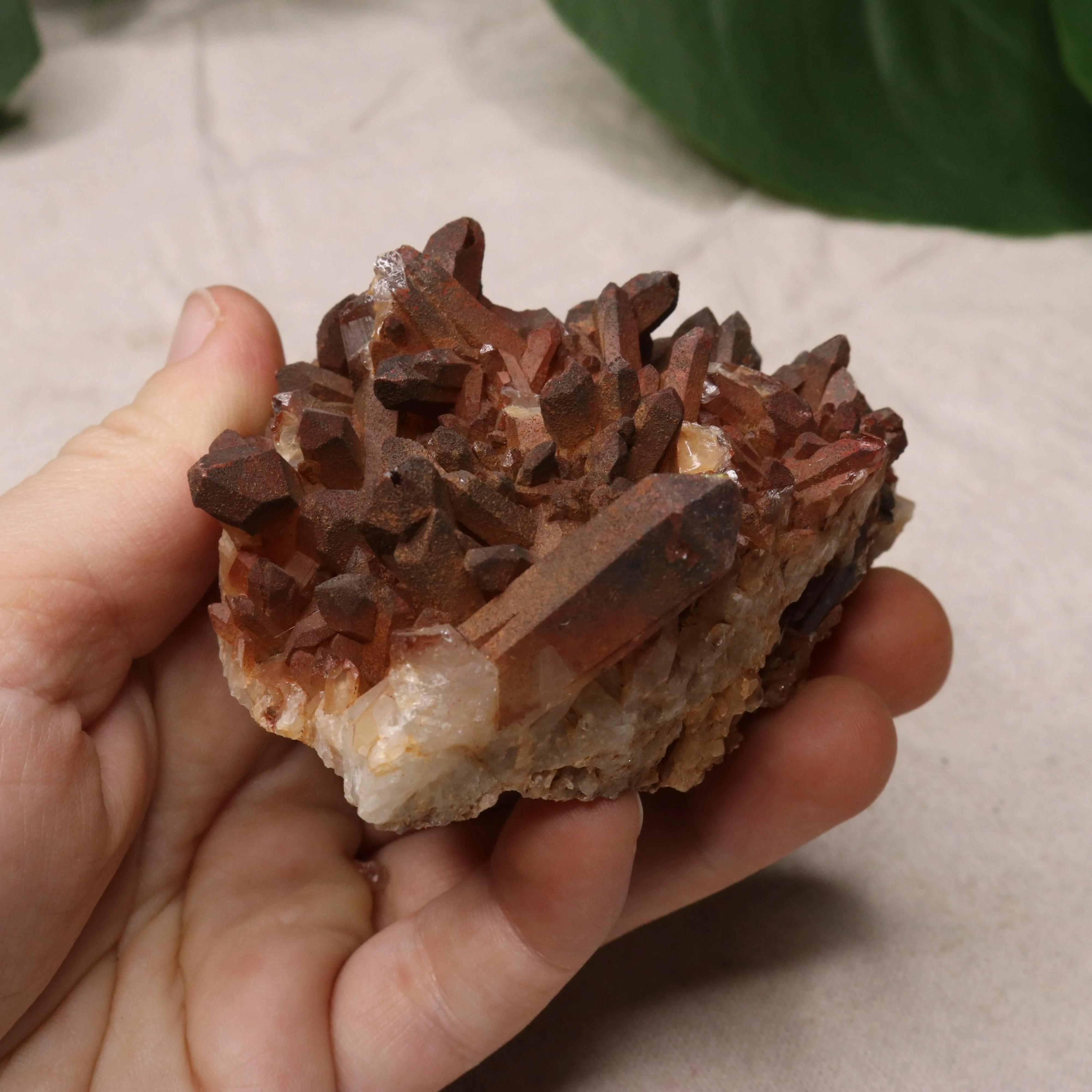 Gorgeous Specimen~ Hematoid Quartz Cluster from Madagascar~ Fire Quartz for Chakra Balancing