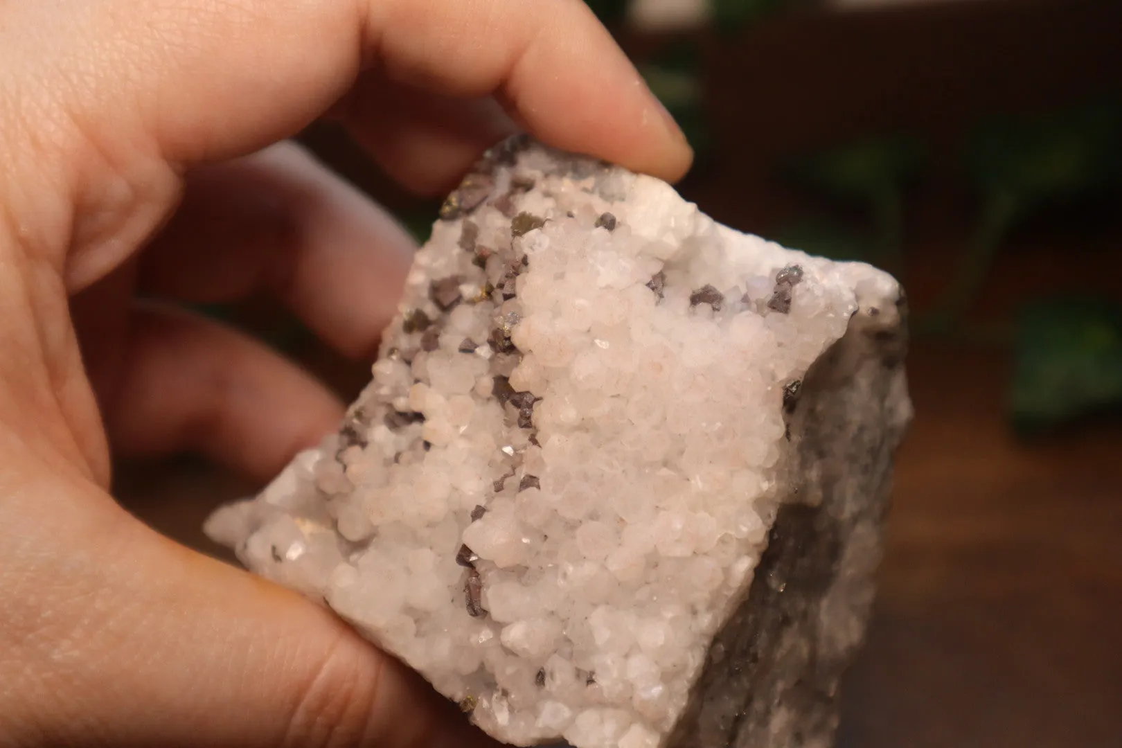 Quartz with Pyrite Cut Base